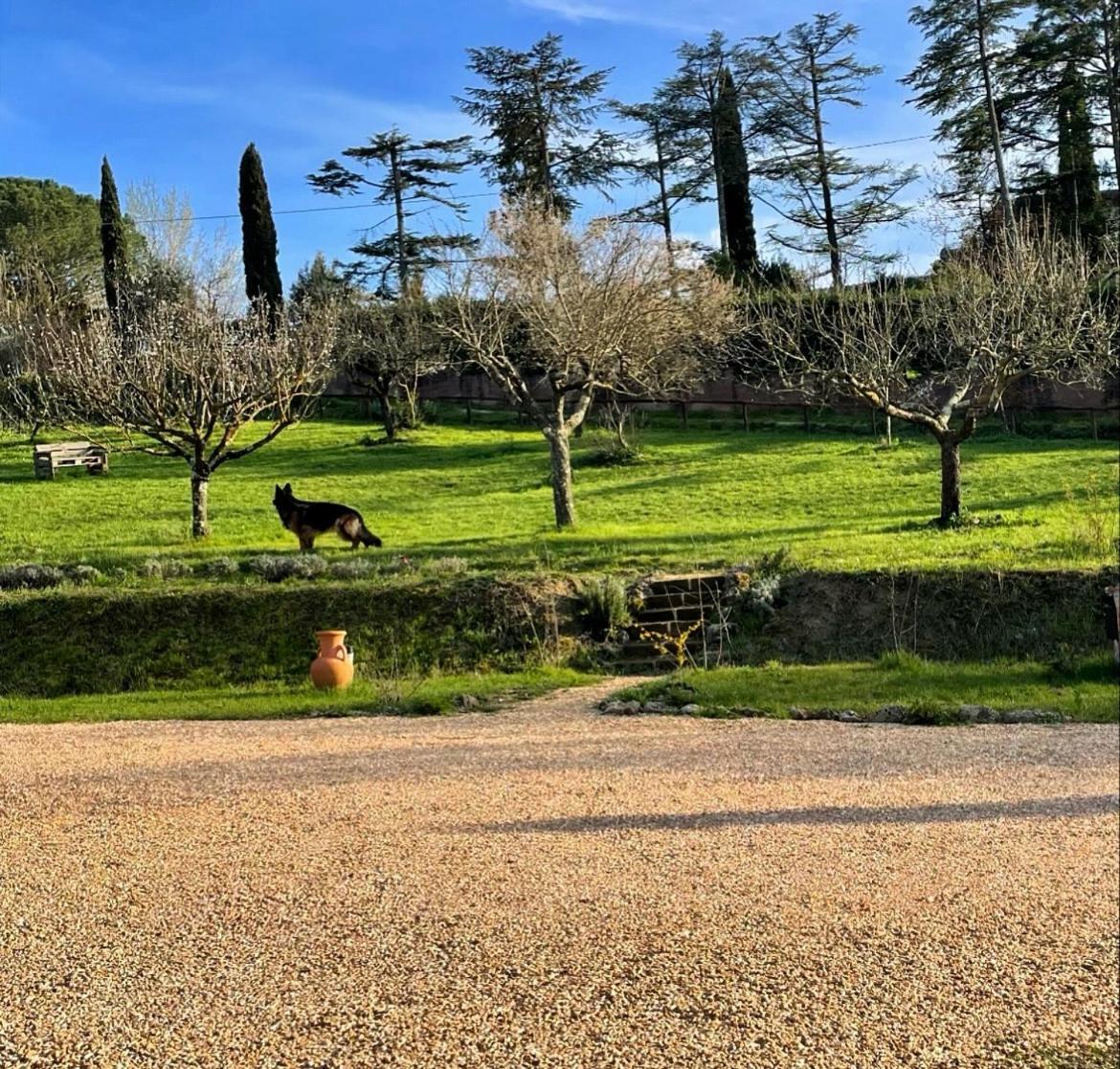 Agriturismo La Corte Del Sole Siena Exterior photo
