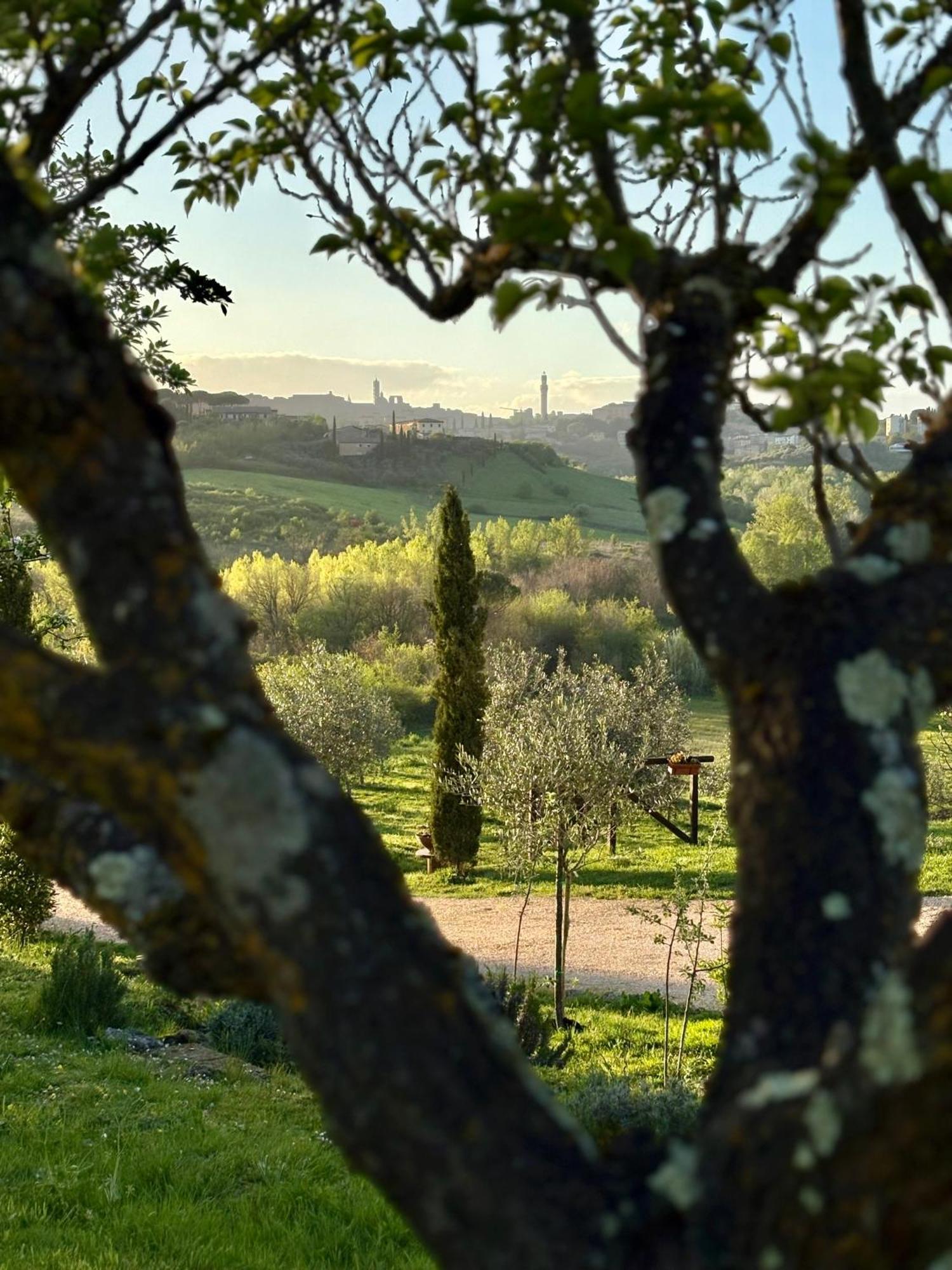 Agriturismo La Corte Del Sole Siena Exterior photo